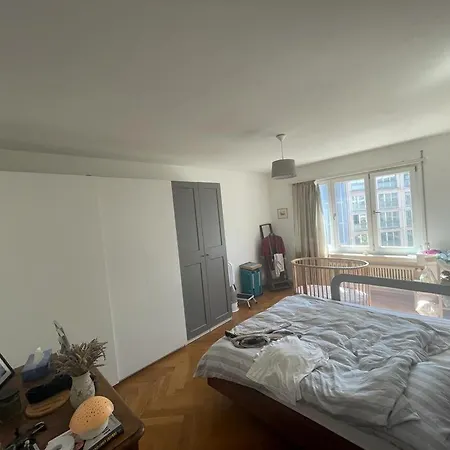 Apartment 2-zimmer-wohnung Im Zentrum Bei Enge In Seenahe *