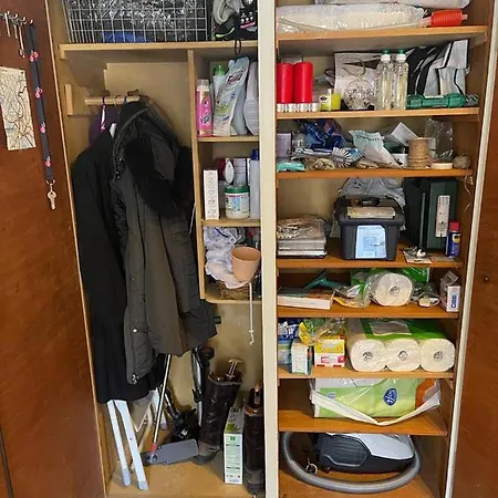 2-zimmer-wohnung Im Zentrum Bei Enge In Seenahe *