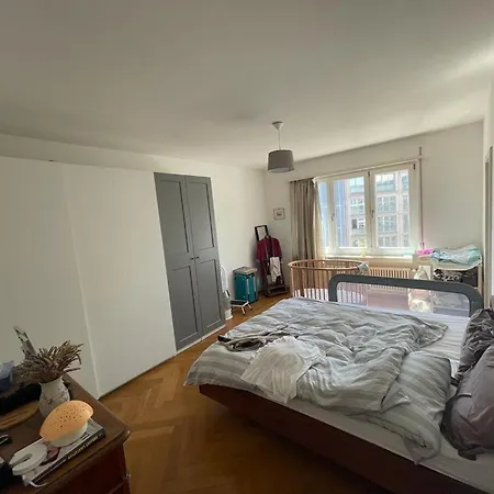 Apartment 2-zimmer-wohnung Im Zentrum Bei Enge In Seenahe *